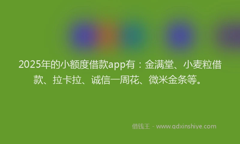 2025年的小额度借款app有：金满堂、小麦粒借款、拉卡拉、诚信一周花、微米金条等。
