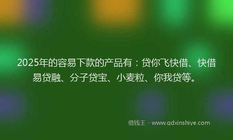 2025年的容易下款的产品有：贷你飞快借、快借易贷融、分子贷宝、小麦粒、你我贷等。