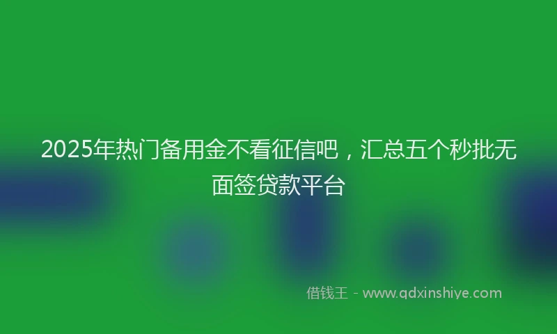 2025年热门备用金不看征信吧，汇总五个秒批无面签贷款平台