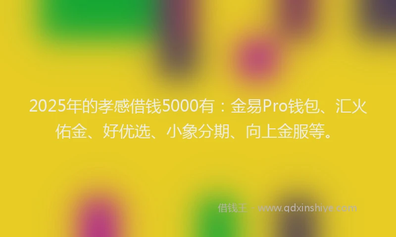 2025年的孝感借钱5000有：金易Pro钱包、汇火佑金、好优选、小象分期、向上金服等。
