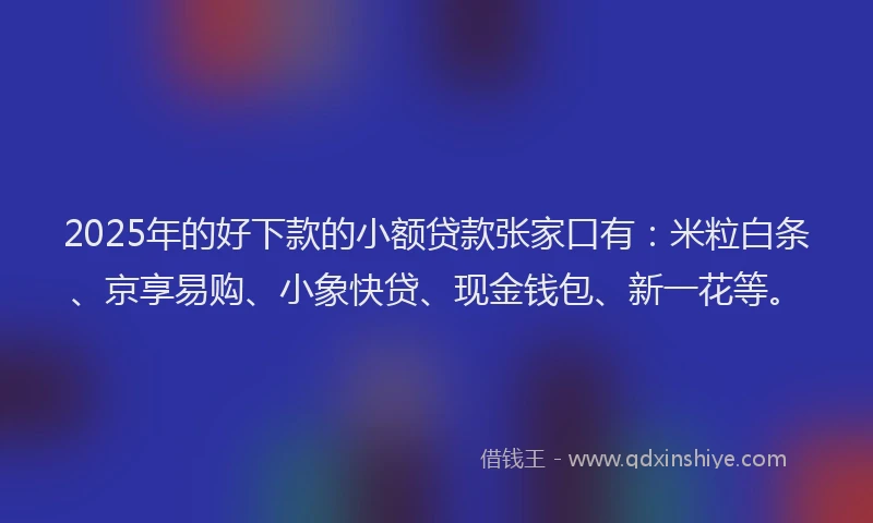 2025年的好下款的小额贷款张家口有：米粒白条、京享易购、小象快贷、现金钱包、新一花等。
