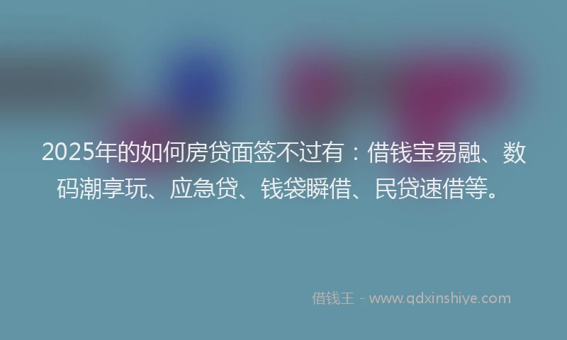 2025年的如何房贷面签不过有：借钱宝易融、数码潮享玩、应急贷、钱袋瞬借、民贷速借等。