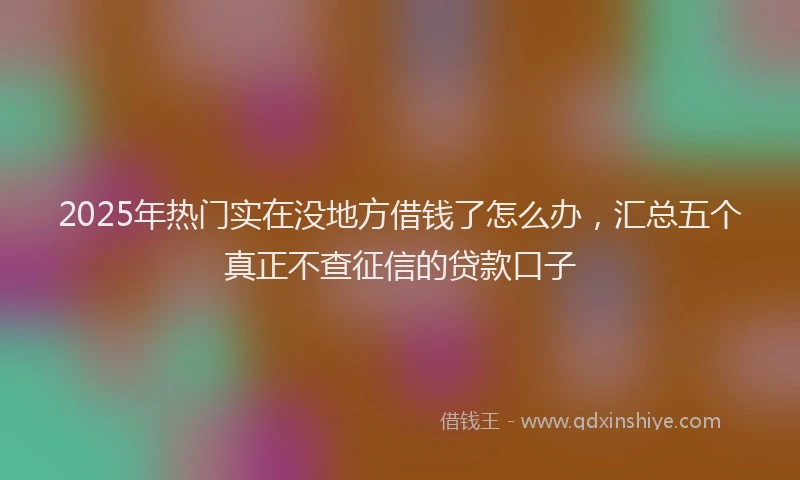 2025年热门实在没地方借钱了怎么办，汇总五个真正不查征信的贷款口子