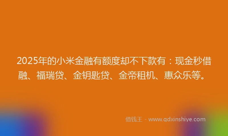 2025年的小米金融有额度却不下款有：现金秒借融、福瑞贷、金钥匙贷、金帝租机、惠众乐等。