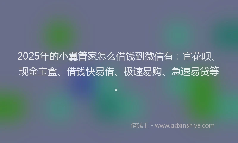 2025年的小翼管家怎么借钱到微信有：宜花呗、现金宝盒、借钱快易借、极速易购、急速易贷等。