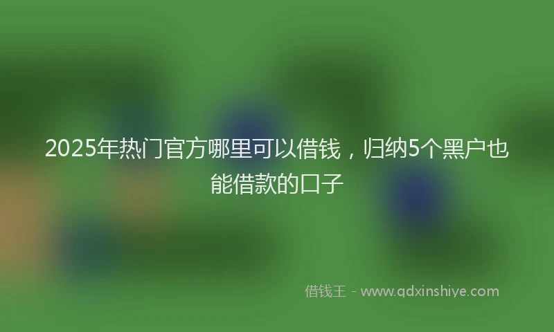 2025年热门官方哪里可以借钱，归纳5个黑户也能借款的口子