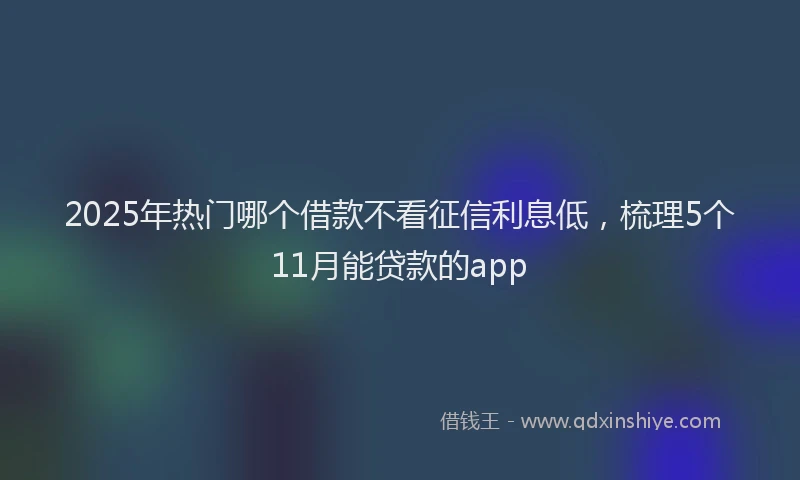 2025年热门哪个借款不看征信利息低，梳理5个11月能贷款的app
