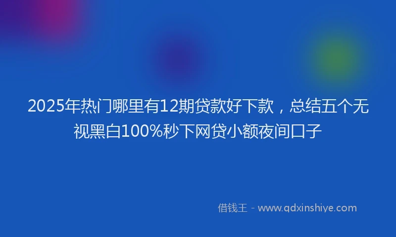 2025年热门哪里有12期贷款好下款，总结五个无视黑白100%秒下网贷小额夜间口子