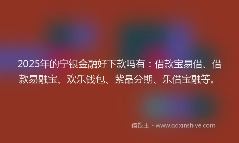2025年的宁银金融好下款吗有：借款宝易借、借款易融宝、欢乐钱包、紫晶分期、乐借宝融等。