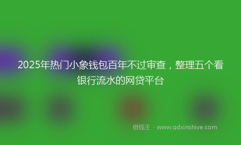 2025年热门小象钱包百年不过审查，整理五个看银行流水的网贷平台
