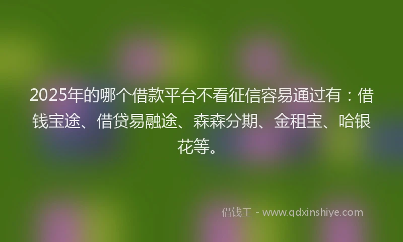 2025年的哪个借款平台不看征信容易通过有：借钱宝途、借贷易融途、森森分期、金租宝、哈银花等。