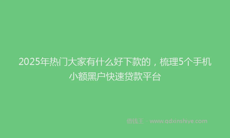 2025年热门大家有什么好下款的，梳理5个手机小额黑户快速贷款平台