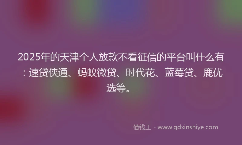 2025年的天津个人放款不看征信的平台叫什么有：速贷侠通、蚂蚁微贷、时代花、蓝莓贷、鹿优选等。