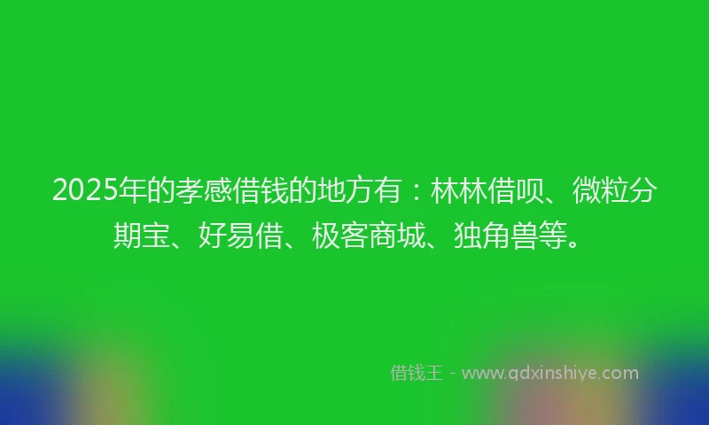 2025年的孝感借钱的地方有：林林借呗、微粒分期宝、好易借、极客商城、独角兽等。