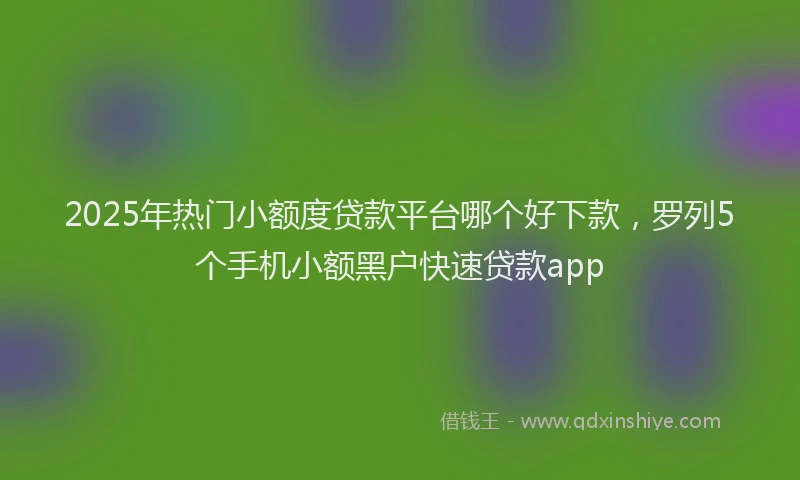 2025年热门小额度贷款平台哪个好下款，罗列5个手机小额黑户快速贷款app