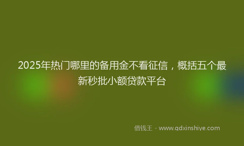 2025年热门哪里的备用金不看征信，概括五个最新秒批小额贷款平台