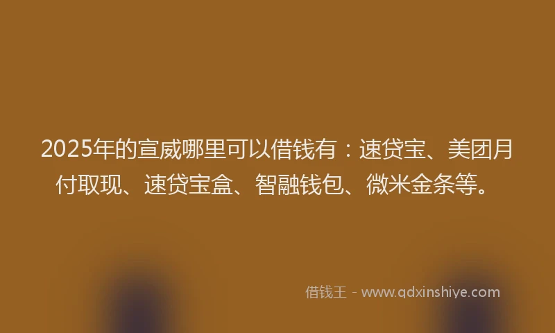 2025年的宣威哪里可以借钱有：速贷宝、美团月付取现、速贷宝盒、智融钱包、微米金条等。