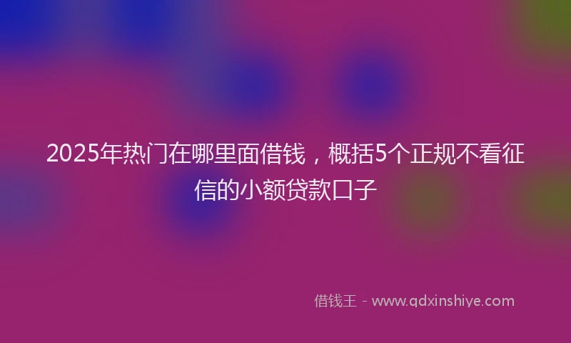 2025年热门在哪里面借钱，概括5个正规不看征信的小额贷款口子