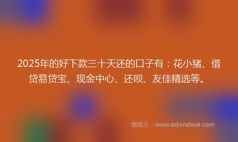 2025年的好下款三十天还的口子有：花小猪、借贷易贷宝、现金中心、还呗、友佳精选等。