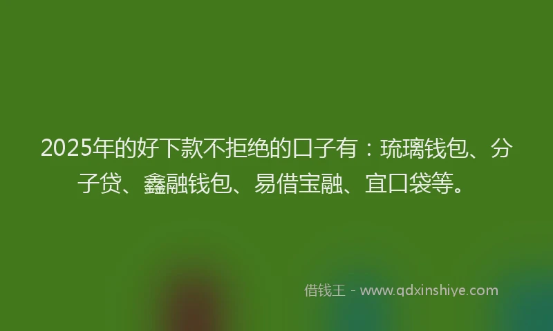2025年的好下款不拒绝的口子有：琉璃钱包、分子贷、鑫融钱包、易借宝融、宜口袋等。
