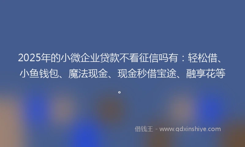2025年的小微企业贷款不看征信吗有：轻松借、小鱼钱包、魔法现金、现金秒借宝途、融享花等。