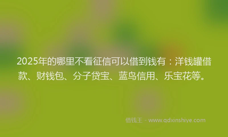 2025年的哪里不看征信可以借到钱有：洋钱罐借款、财钱包、分子贷宝、蓝鸟信用、乐宝花等。