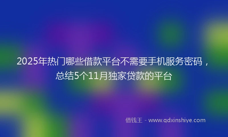2025年热门哪些借款平台不需要手机服务密码，总结5个11月独家贷款的平台