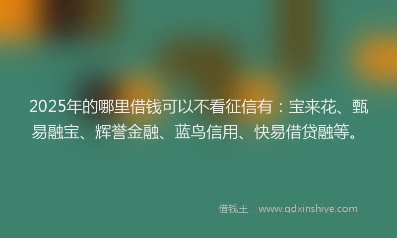 2025年的哪里借钱可以不看征信有：宝来花、甄易融宝、辉誉金融、蓝鸟信用、快易借贷融等。