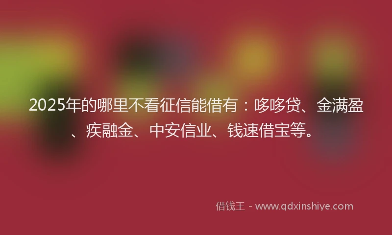 2025年的哪里不看征信能借有：哆哆贷、金满盈、疾融金、中安信业、钱速借宝等。
