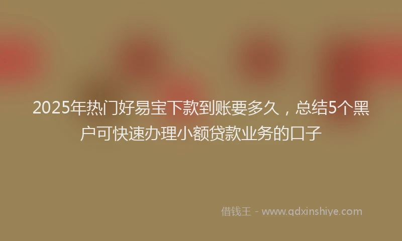 2025年热门好易宝下款到账要多久，总结5个黑户可快速办理小额贷款业务的口子