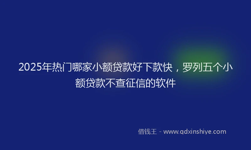 2025年热门哪家小额贷款好下款快，罗列五个小额贷款不查征信的软件