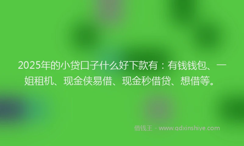 2025年的小贷口子什么好下款有：有钱钱包、一姐租机、现金侠易借、现金秒借贷、想借等。