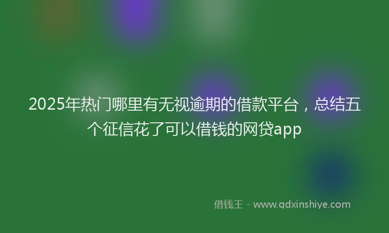 2025年热门哪里有无视逾期的借款平台，总结五个征信花了可以借钱的网贷app