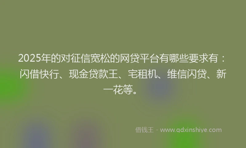 2025年的对征信宽松的网贷平台有哪些要求有:闪借快行、现金贷款王、宅租机、维信闪贷、新一花等。