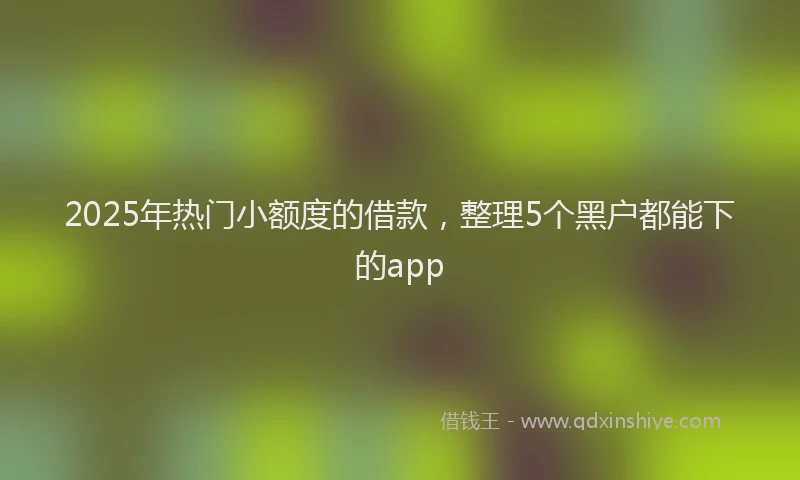 2025年热门小额度的借款，整理5个黑户都能下的app