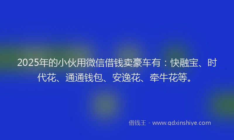 2025年的小伙用微信借钱卖豪车有：快融宝、时代花、通通钱包、安逸花、牵牛花等。