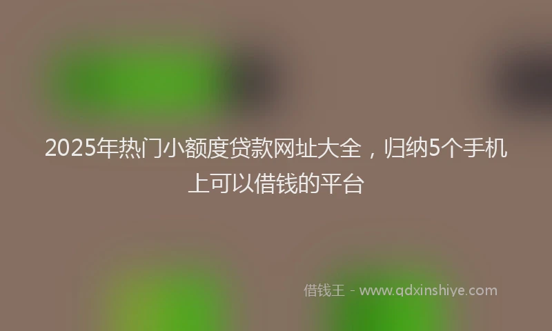 2025年热门小额度贷款网址大全，归纳5个手机上可以借钱的平台