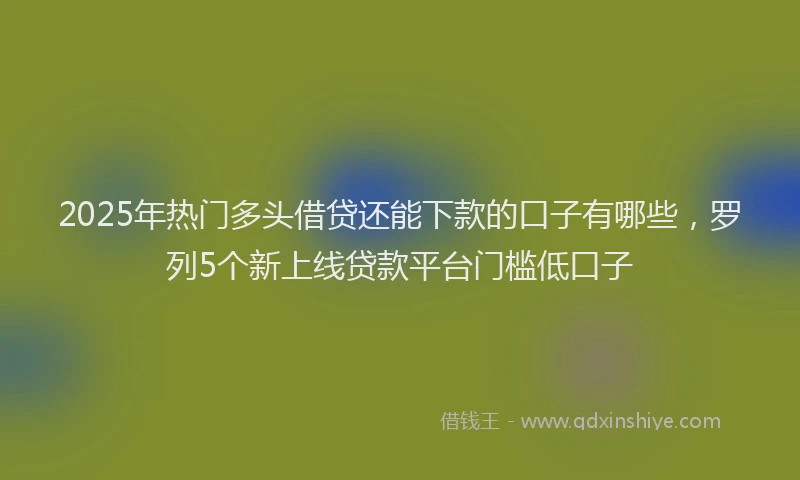 2025年热门多头借贷还能下款的口子有哪些，罗列5个新上线贷款平台门槛低口子