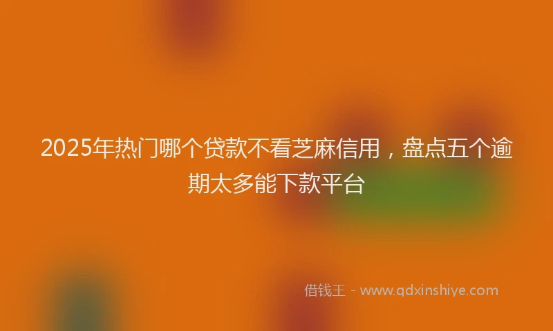 2025年热门哪个贷款不看芝麻信用，盘点五个逾期太多能下款平台