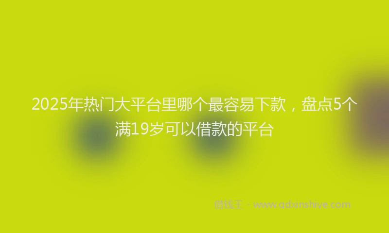 2025年热门大平台里哪个最容易下款，盘点5个满19岁可以借款的平台