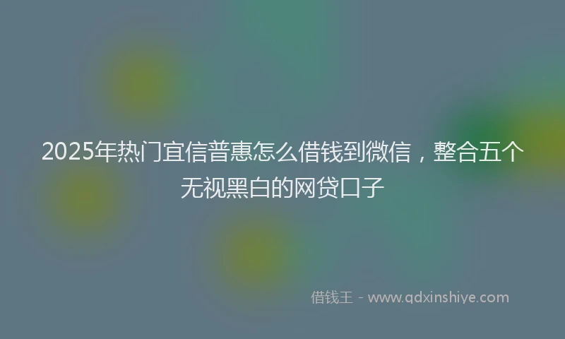 2025年热门宜信普惠怎么借钱到微信，整合五个无视黑白的网贷口子