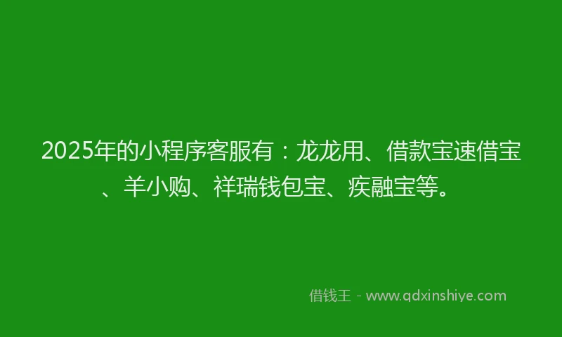 2025年的小程序客服有：龙龙用、借款宝速借宝、羊小购、祥瑞钱包宝、疾融宝等。