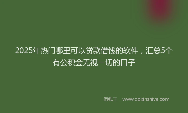 2025年热门哪里可以贷款借钱的软件，汇总5个有公积金无视一切的口子