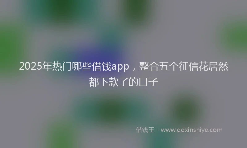 2025年热门哪些借钱app，整合五个征信花居然都下款了的口子