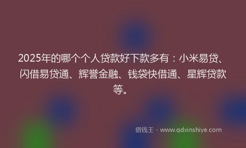 2025年的哪个个人贷款好下款多有：小米易贷、闪借易贷通、辉誉金融、钱袋快借通、星辉贷款等。
