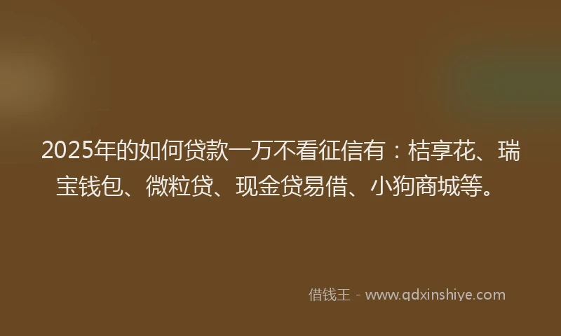 2025年的如何贷款一万不看征信有:桔享花、瑞宝钱包、微粒贷、现金贷易借、小狗商城等。