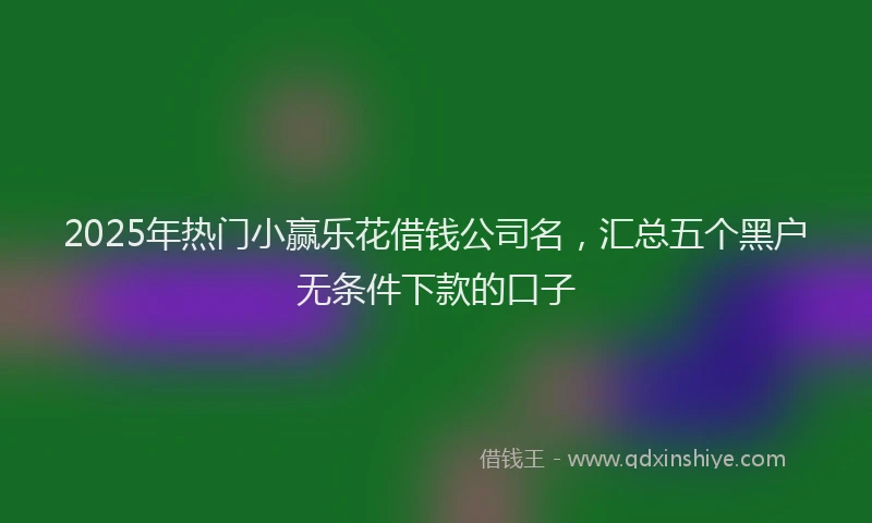 2025年热门小赢乐花借钱公司名，汇总五个黑户无条件下款的口子