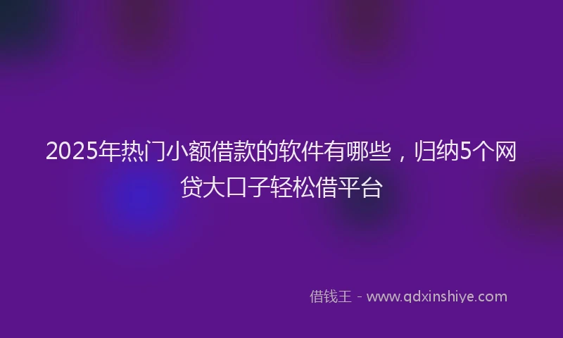 2025年热门小额借款的软件有哪些，归纳5个网贷大口子轻松借平台