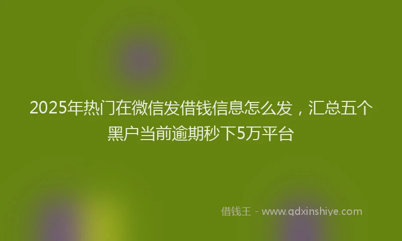 2025年热门在微信发借钱信息怎么发，汇总五个黑户当前逾期秒下5万平台
