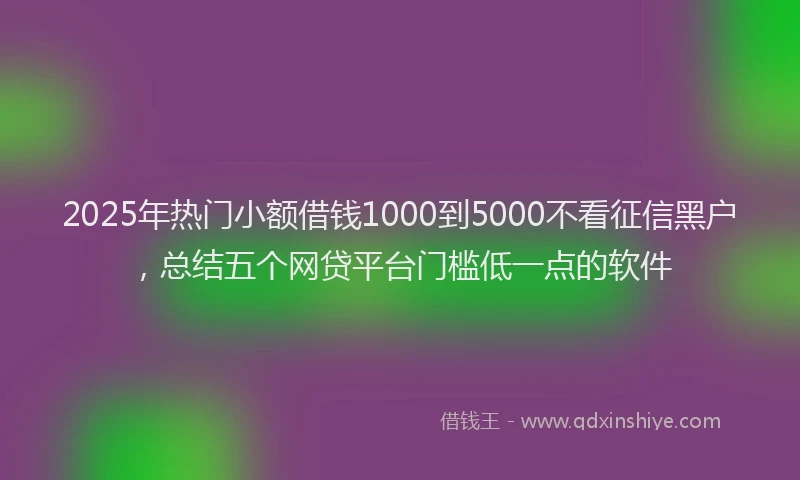 2025年热门小额借钱1000到5000不看征信黑户，总结五个网贷平台门槛低一点的软件